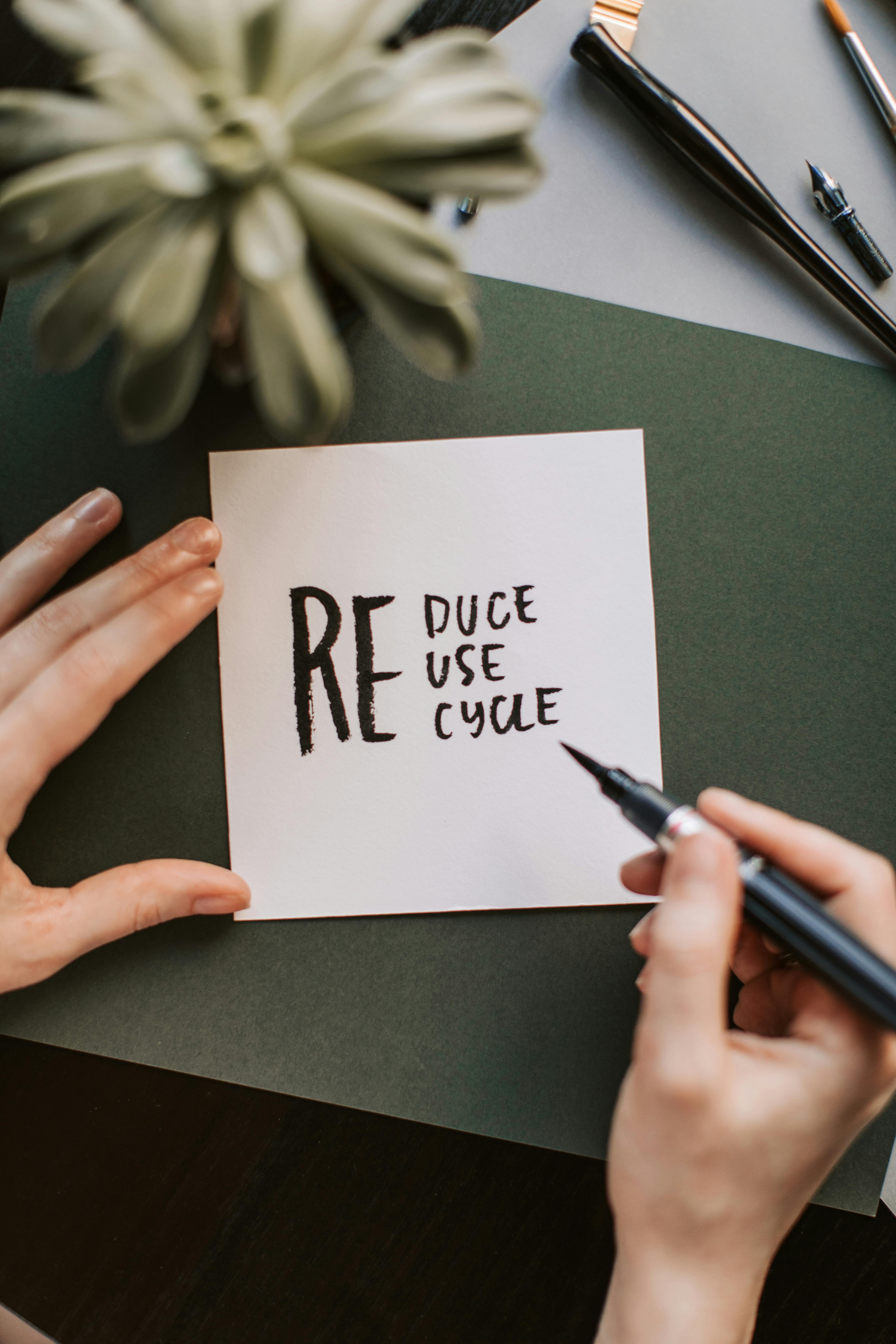 how to make your home more sustainable